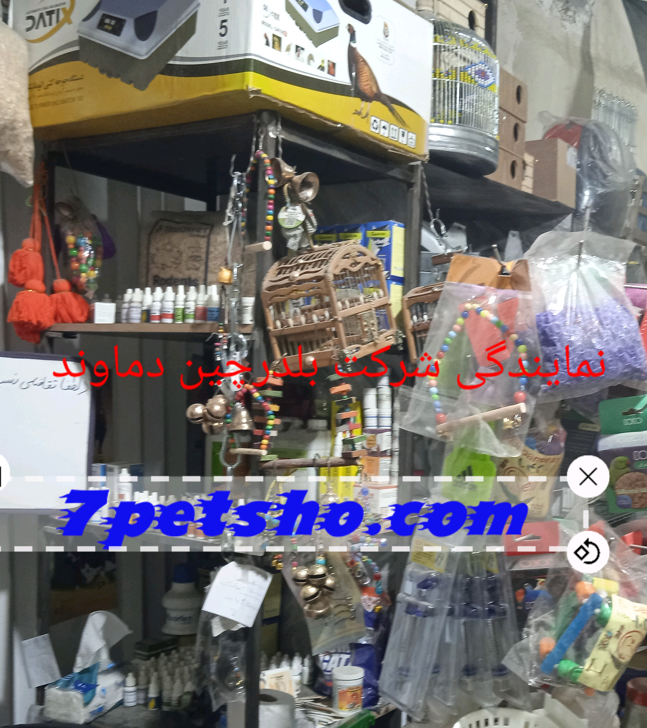 نمایندگی دستگاه جوجه کشی بلدرچین دماوند 