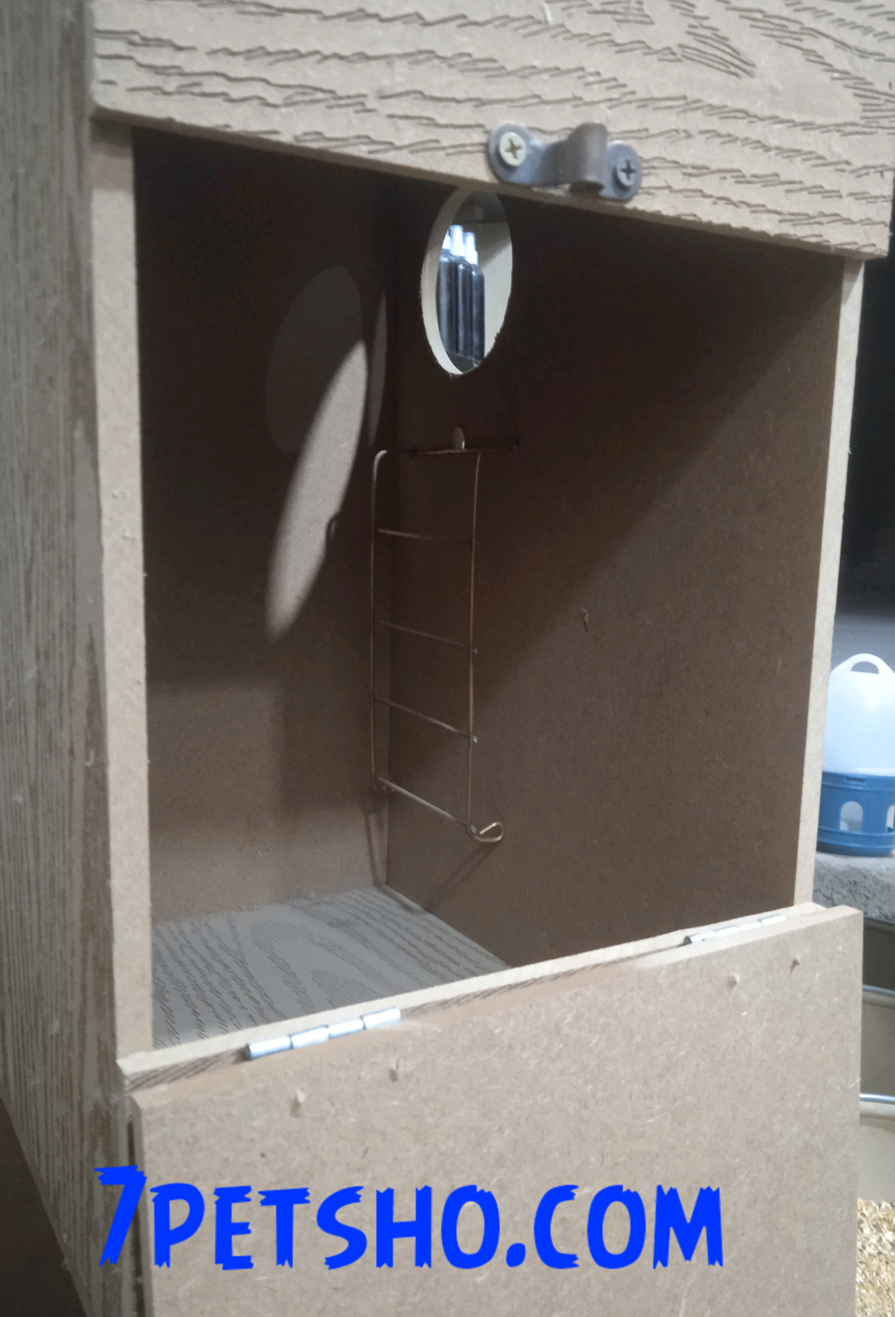 لونه طوطی گیرینچیک 