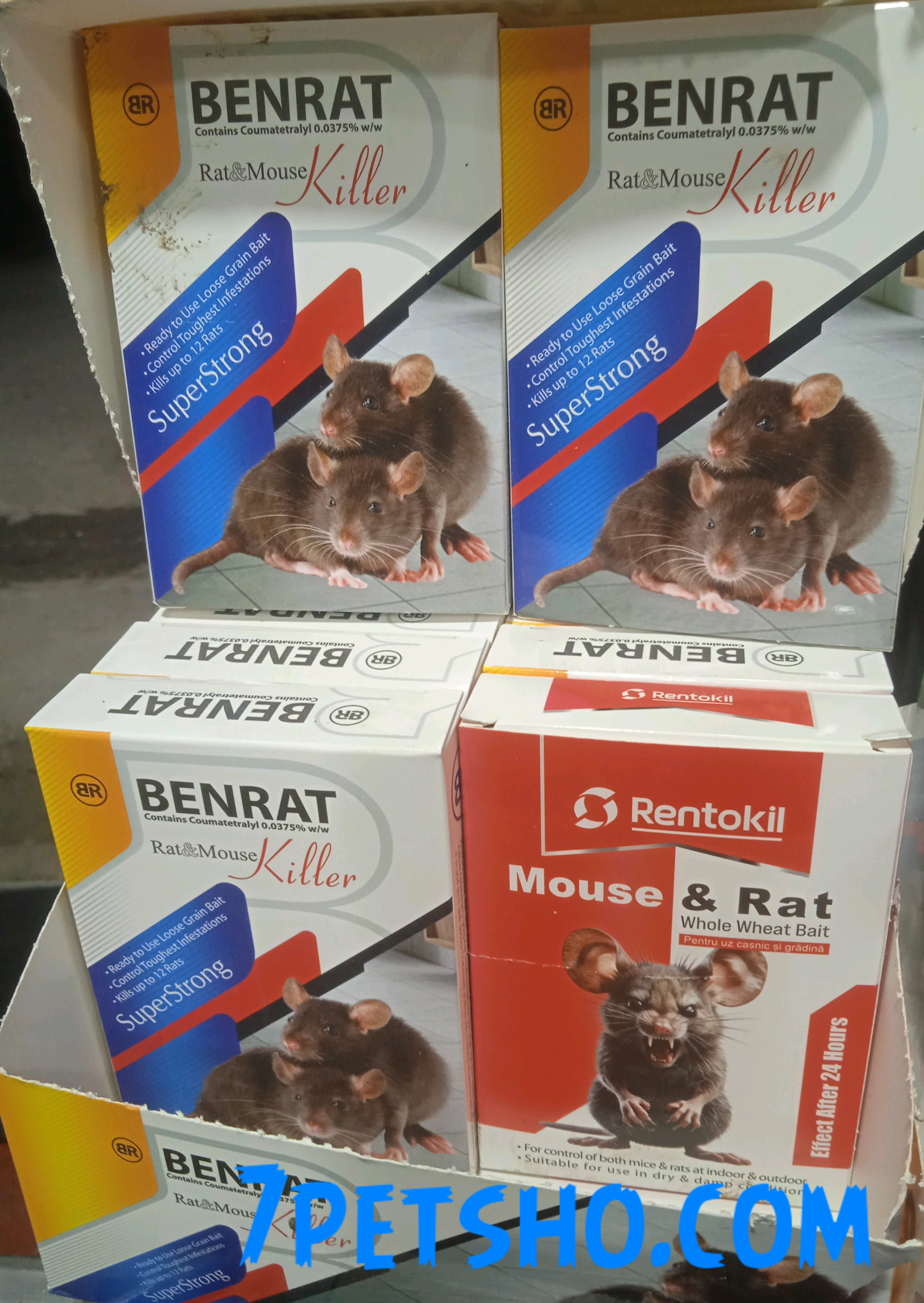 سم موش بزرگ 