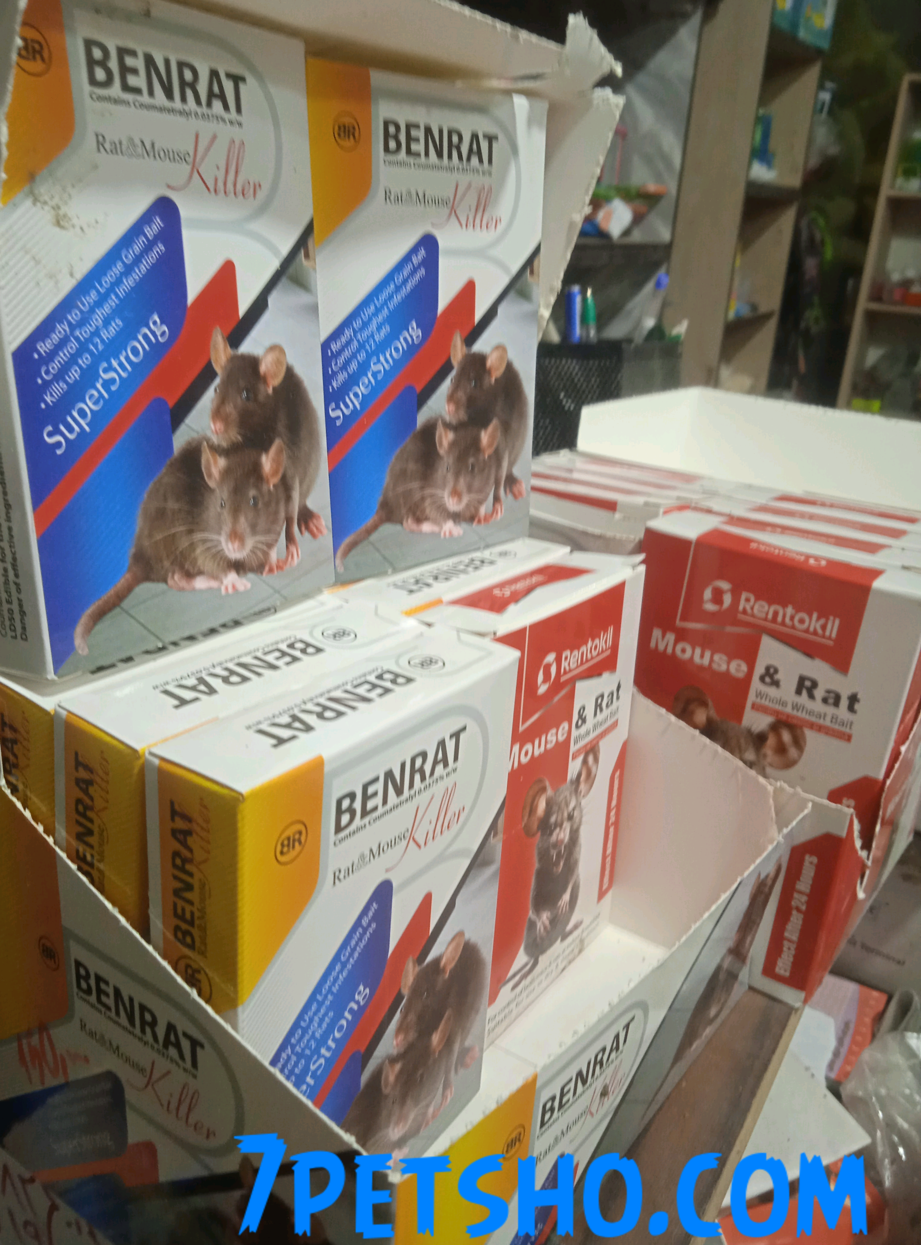 سم موش صحرایی 